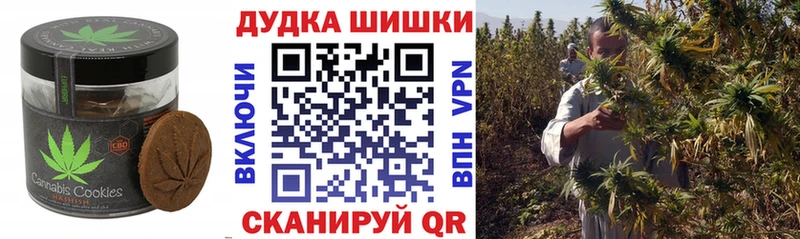 OMG вход  купить наркотики сайты  Бородино  Cannafood конопля 