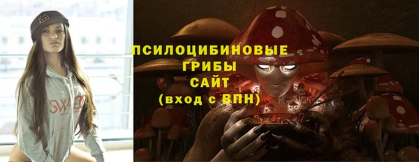 крисы Аркадак