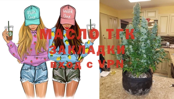 гашик Балахна