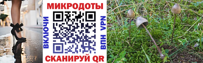 Псилоцибиновые грибы Magic Shrooms  Бородино 